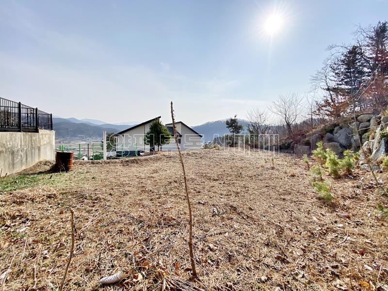 양평군 양서면 잘다듬어지고 전망좋은 토지_9