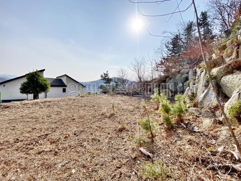 양평군 양서면 잘다듬어지고 전망좋은 토지_12