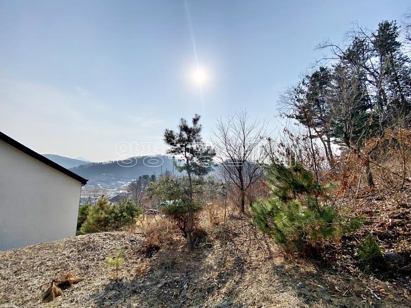 양평군 양서면 잘다듬어지고 전망좋은 토지_17