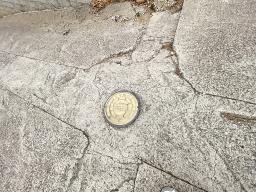 양평군 옥천면 아신리 아신역 뒤 전망좋은 토지_썸네일_4