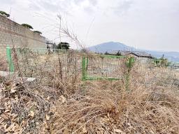 양평군 옥천면 아신리 아신역 뒤 전망좋은 토지_썸네일_8