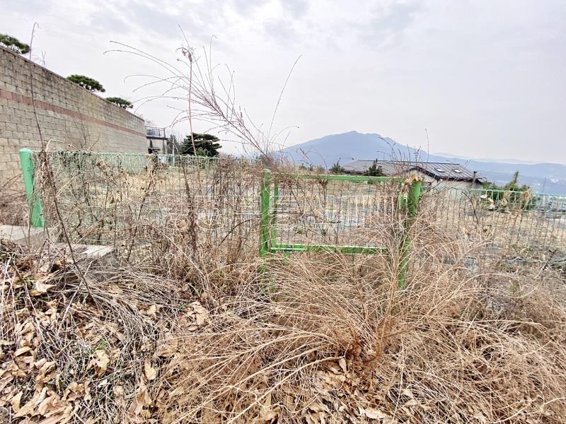 양평군 옥천면 아신리 아신역 뒤 전망좋은 토지_8