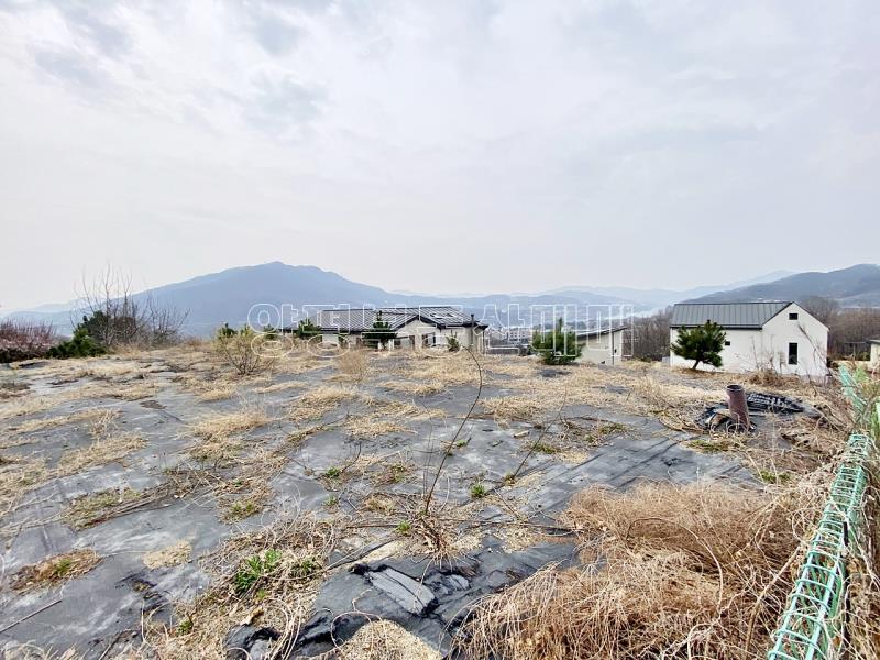 양평군 옥천면 아신리 아신역 뒤 전망좋은 토지_11