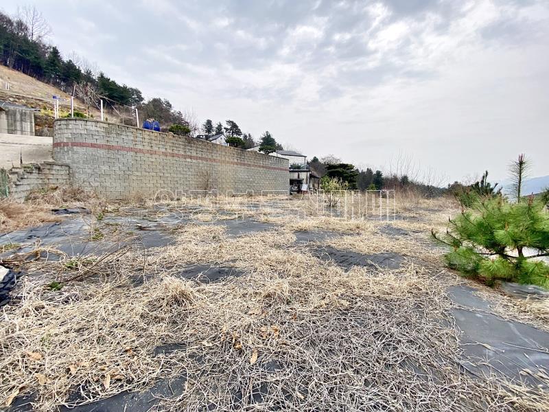 양평군 옥천면 아신리 아신역 뒤 전망좋은 토지_14