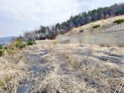 양평군 옥천면 아신리 아신역 뒤 전망좋은 토지_썸네일_17