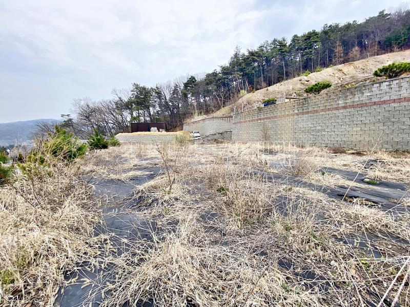 양평군 옥천면 아신리 아신역 뒤 전망좋은 토지_17