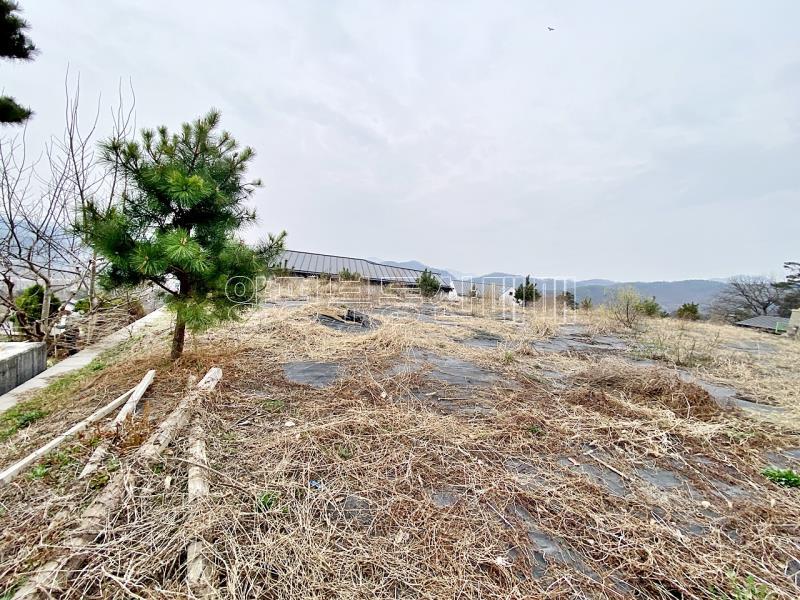 양평군 옥천면 아신리 아신역 뒤 전망좋은 토지_18