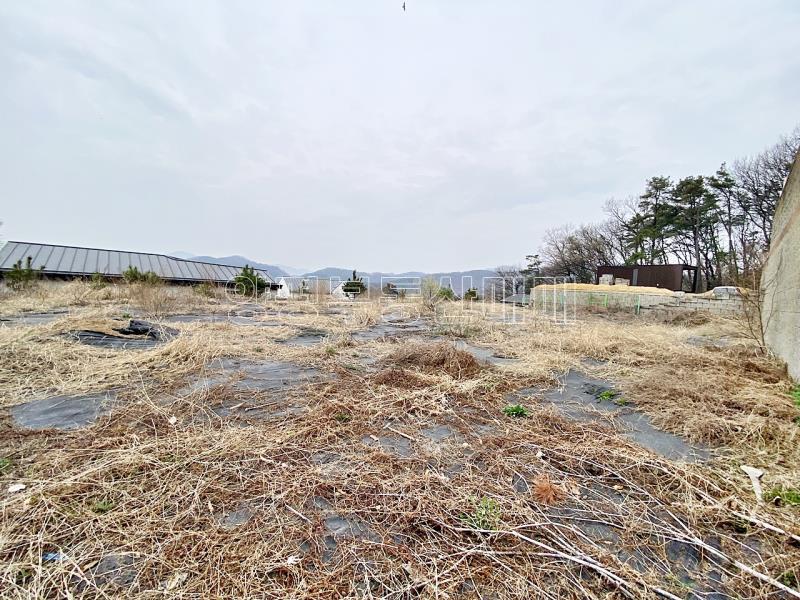 양평군 옥천면 아신리 아신역 뒤 전망좋은 토지_19