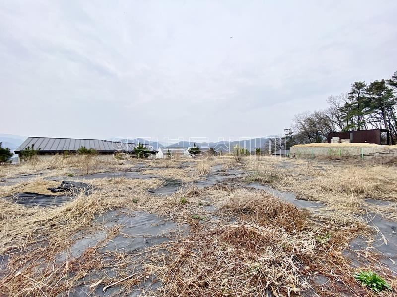 양평군 옥천면 아신리 아신역 뒤 전망좋은 토지_20
