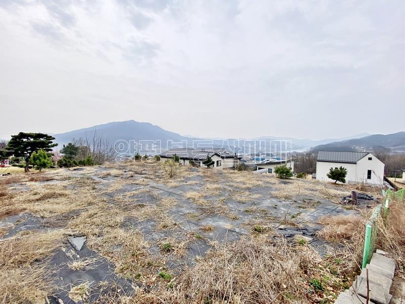 양평군 옥천면 아신리 아신역 뒤 전망좋은 토지_21