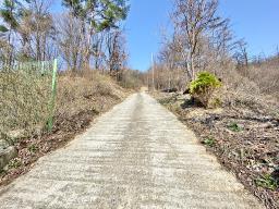 양평군 양서면 목왕리 전망좋은토지_썸네일_2