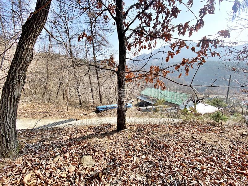 양평군 양서면 목왕리 전망좋은토지_4