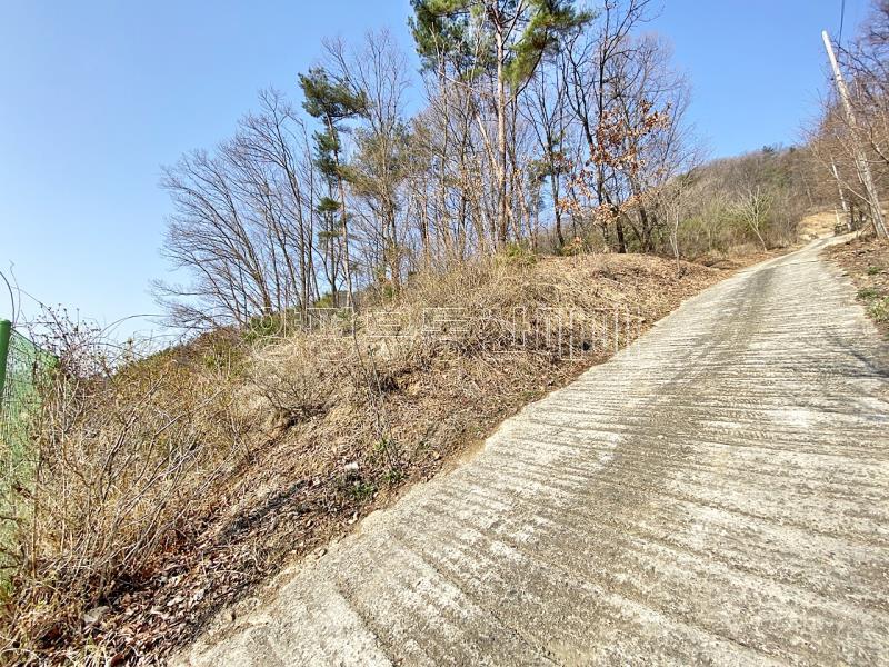 양평군 양서면 목왕리 전망좋은토지_5