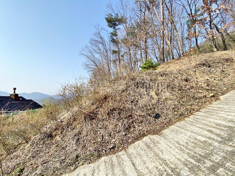 양평군 양서면 목왕리 전망좋은토지_6