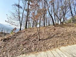 양평군 양서면 목왕리 전망좋은토지_썸네일_8