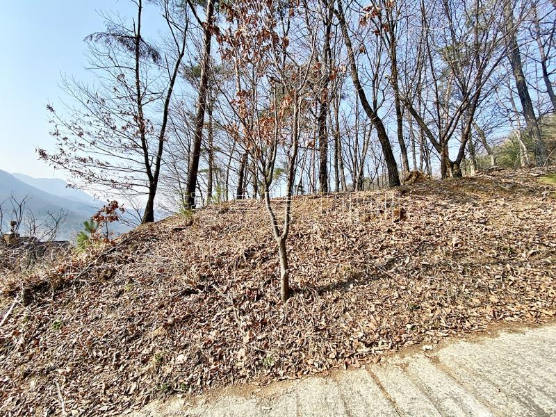 양평군 양서면 목왕리 전망좋은토지_8