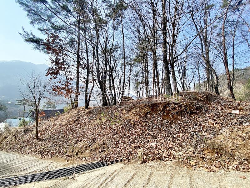 양평군 양서면 목왕리 전망좋은토지_9