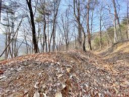 양평군 양서면 목왕리 전망좋은토지_썸네일_10