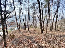 양평군 양서면 목왕리 전망좋은토지_썸네일_11