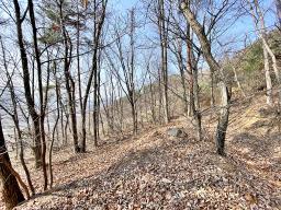 양평군 양서면 목왕리 전망좋은토지_썸네일_12