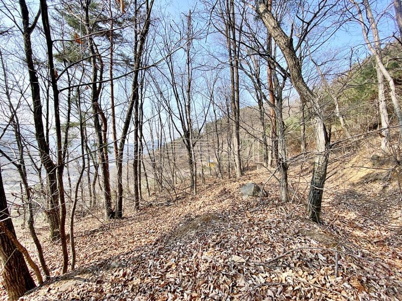 양평군 양서면 목왕리 전망좋은토지_12