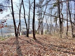 양평군 양서면 목왕리 전망좋은토지_썸네일_13