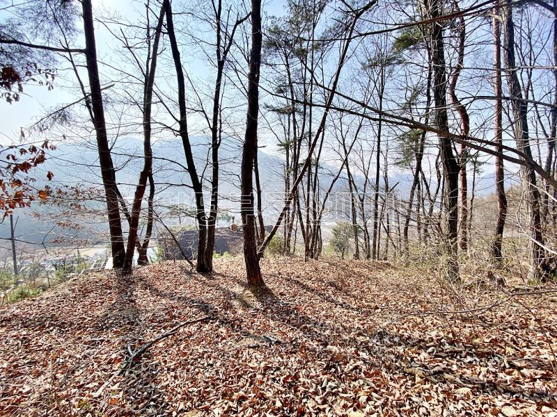 양평군 양서면 목왕리 전망좋은토지_13