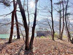 양평군 양서면 목왕리 전망좋은토지