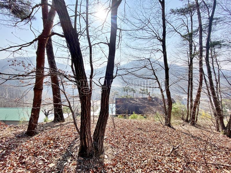 양평군 양서면 목왕리 전망좋은토지_14