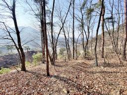 양평군 양서면 목왕리 전망좋은토지_썸네일_15