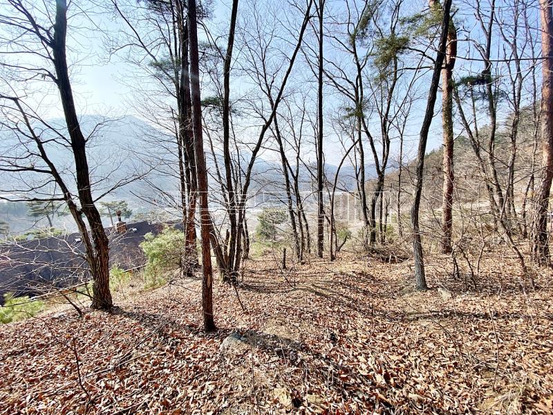 양평군 양서면 목왕리 전망좋은토지_15