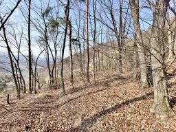 양평군 양서면 목왕리 전망좋은토지_썸네일_16