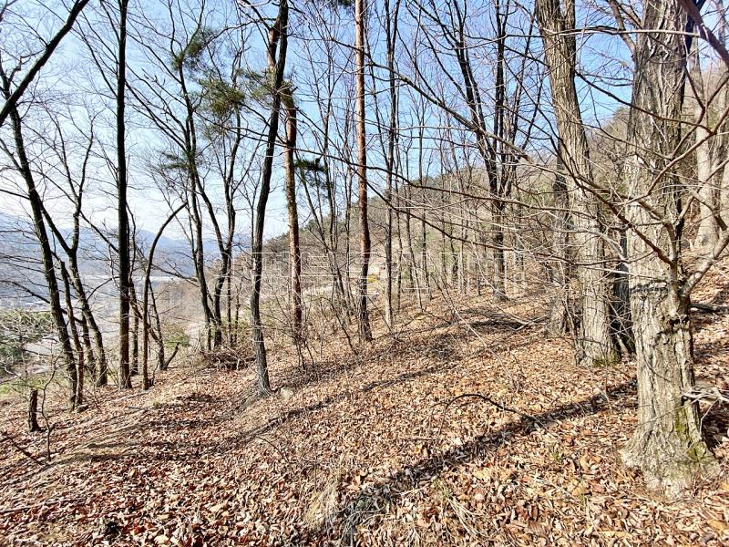 양평군 양서면 목왕리 전망좋은토지_16