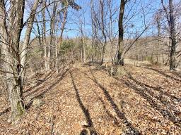 양평군 양서면 목왕리 전망좋은토지_썸네일_17