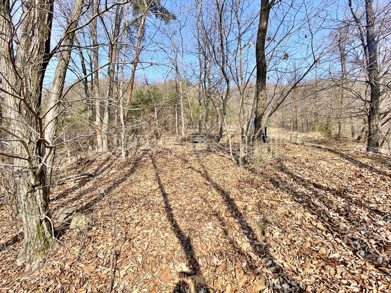 양평군 양서면 목왕리 전망좋은토지_17