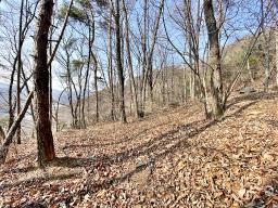 양평군 양서면 목왕리 전망좋은토지_썸네일_18