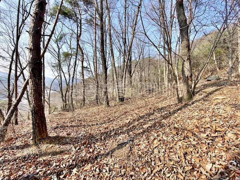 양평군 양서면 목왕리 전망좋은토지_18