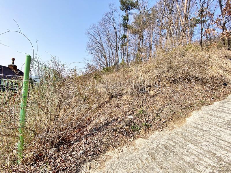 양평군 양서면 목왕리 전망좋은토지_20