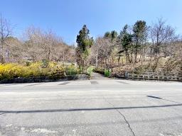 양평군 양서면 복포리 6번국도 가까운 보전관리지역_썸네일_2