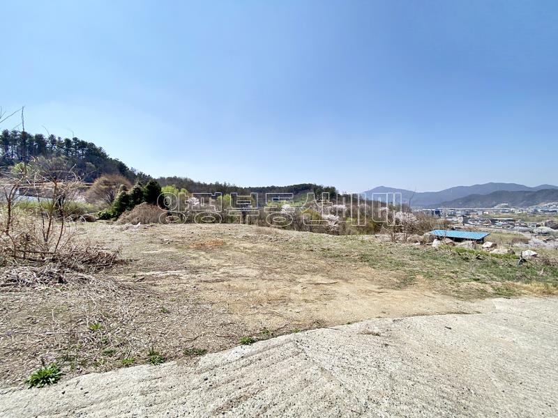 양평군 양서면 복포리 6번국도 가까운 보전관리지역_6