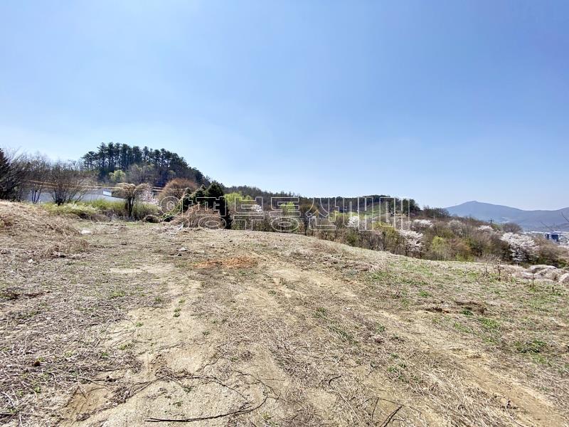 양평군 양서면 복포리 6번국도 가까운 보전관리지역_8