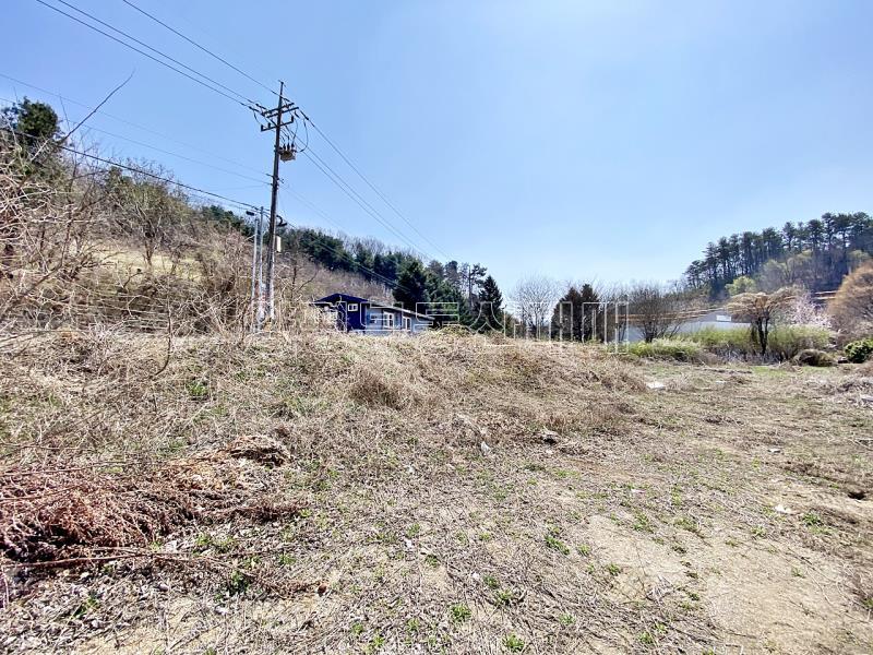 양평군 양서면 복포리 6번국도 가까운 보전관리지역_9