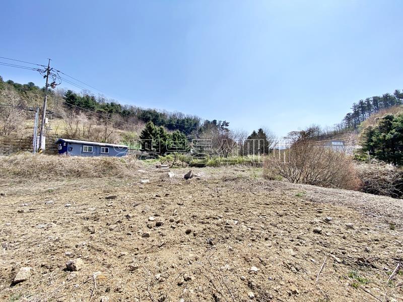 양평군 양서면 복포리 6번국도 가까운 보전관리지역_11