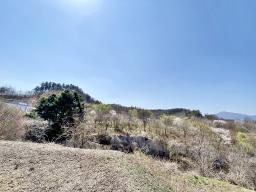 양평군 양서면 복포리 6번국도 가까운 보전관리지역_썸네일_13