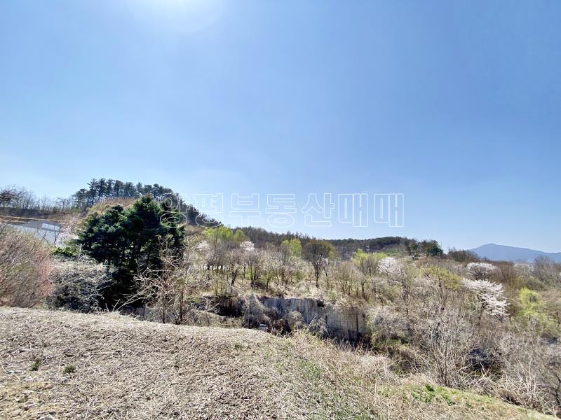 양평군 양서면 복포리 6번국도 가까운 보전관리지역_13