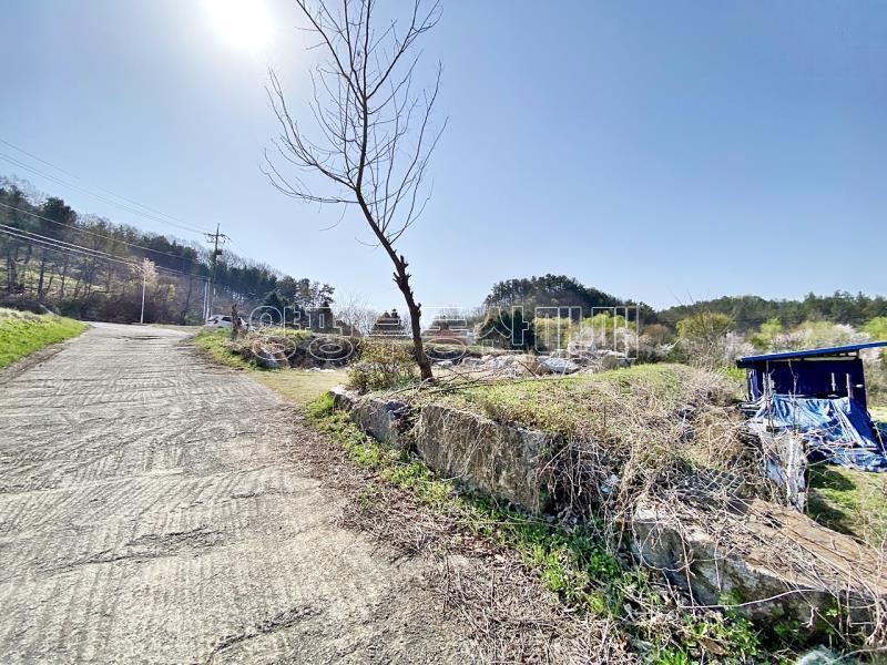 양평군 양서면 복포리 6번국도 가까운 보전관리지역_19