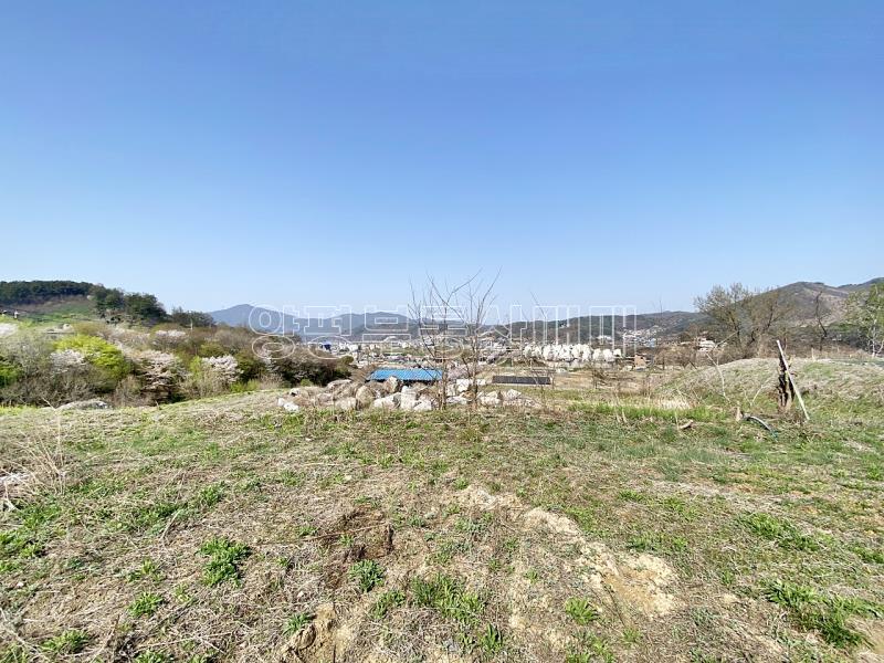 양평군 양서면 복포리 6번국도 가까운 보전관리지역_22