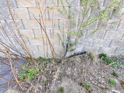 양평군 양서면 복포리 청계산의아침_썸네일_5