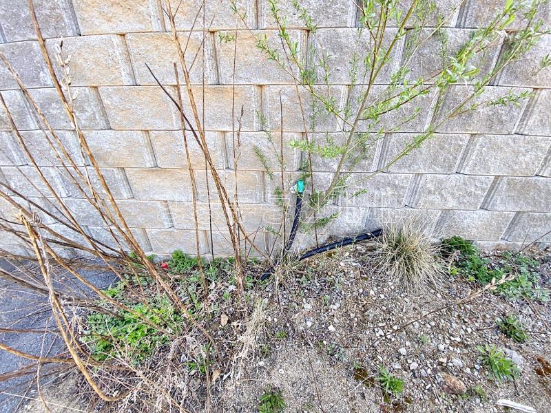 양평군 양서면 복포리 청계산의아침_5