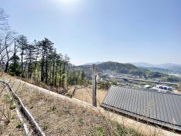 양평군 양서면 복포리 청계산의아침_썸네일_16